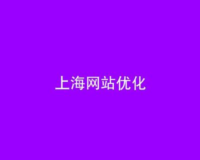 上海网站优化